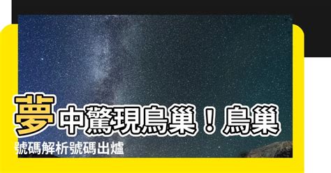 夢到小鳥號碼|【夢到小鳥號碼】夢到啥都不奇怪！其中小鳥預示財富！ – 駱影旎。